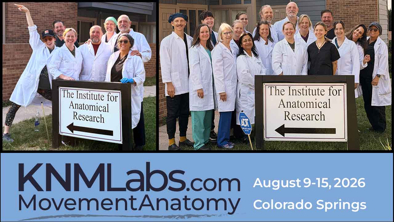 Photos of two groups of anatomy students who attended our August 2026 labs in Colorado Springs.